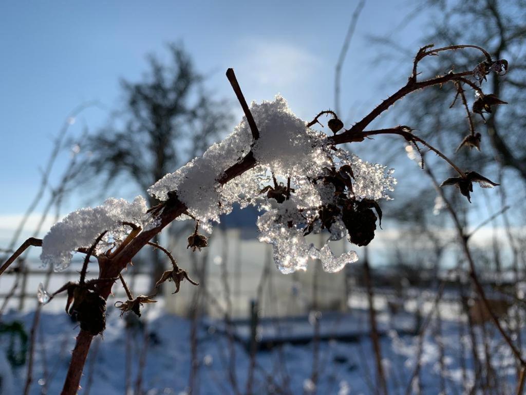 Ostseestuev Boiensdorf Zewnętrze zdjęcie