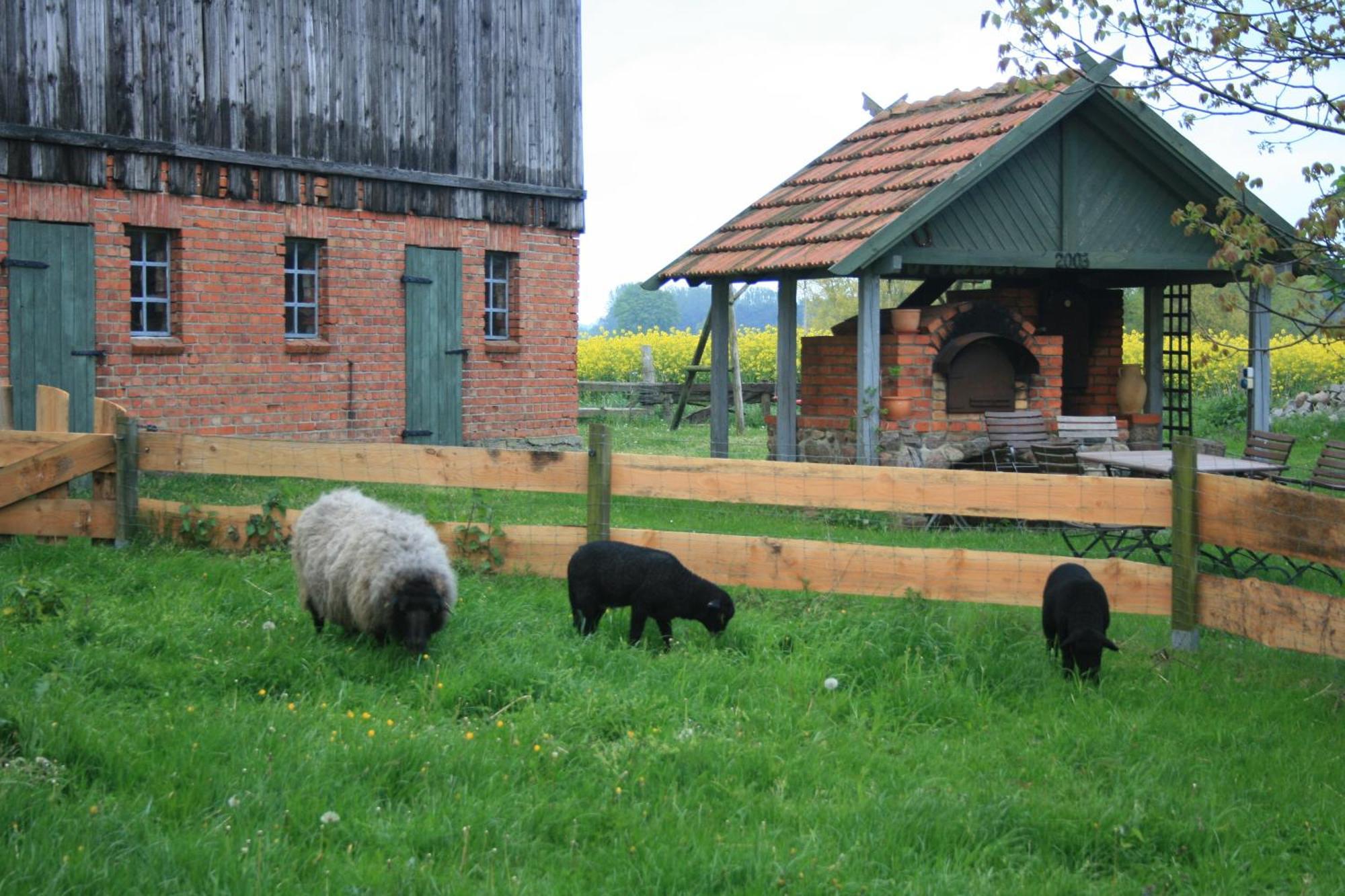 Ostseestuev Boiensdorf Pokój zdjęcie
