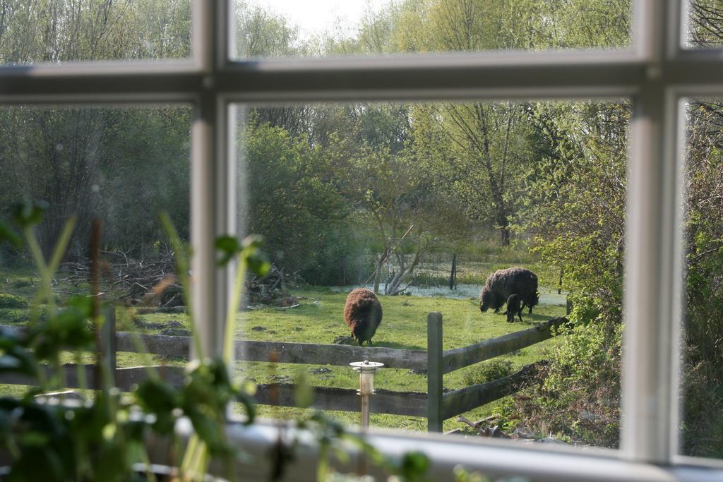 Ostseestuev Boiensdorf Pokój zdjęcie